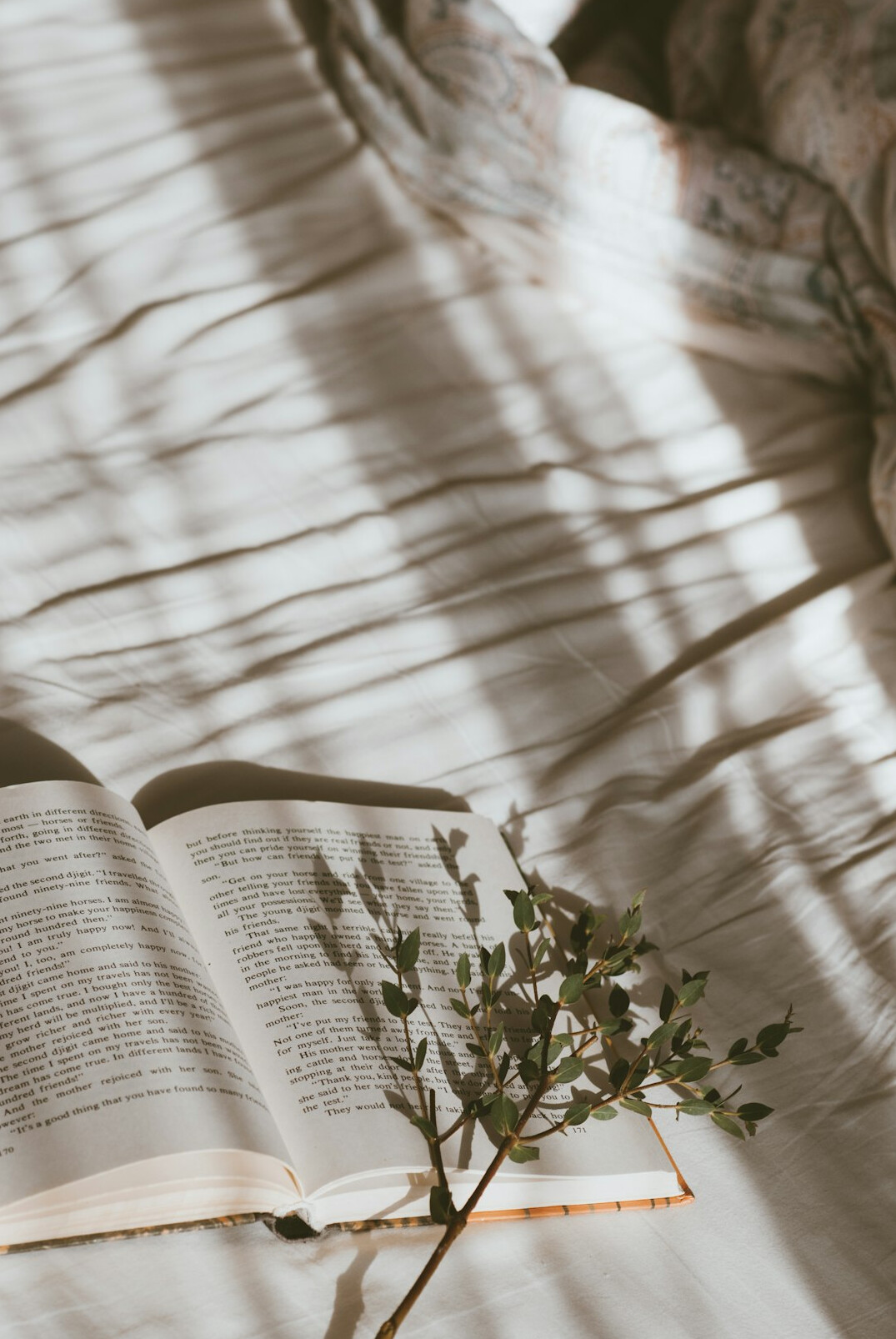 person journaling in morning light