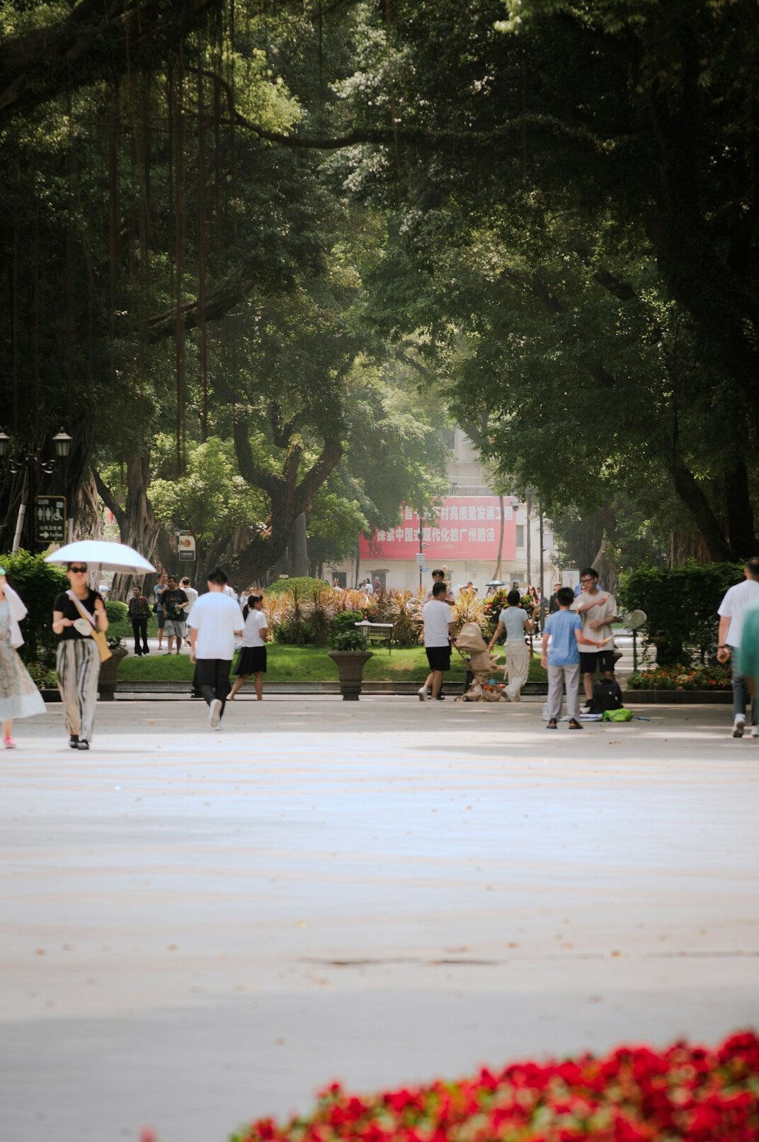 person walking in park